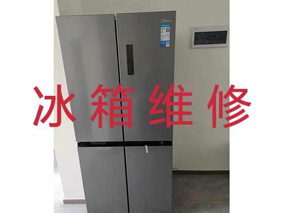上海冰箱冰柜维修上门服务
